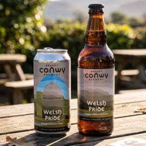 Welsh Pride Mixed Case